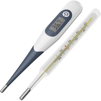 Digital Clinical Thermometer